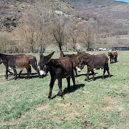 شقة Morello إيستيري دانو